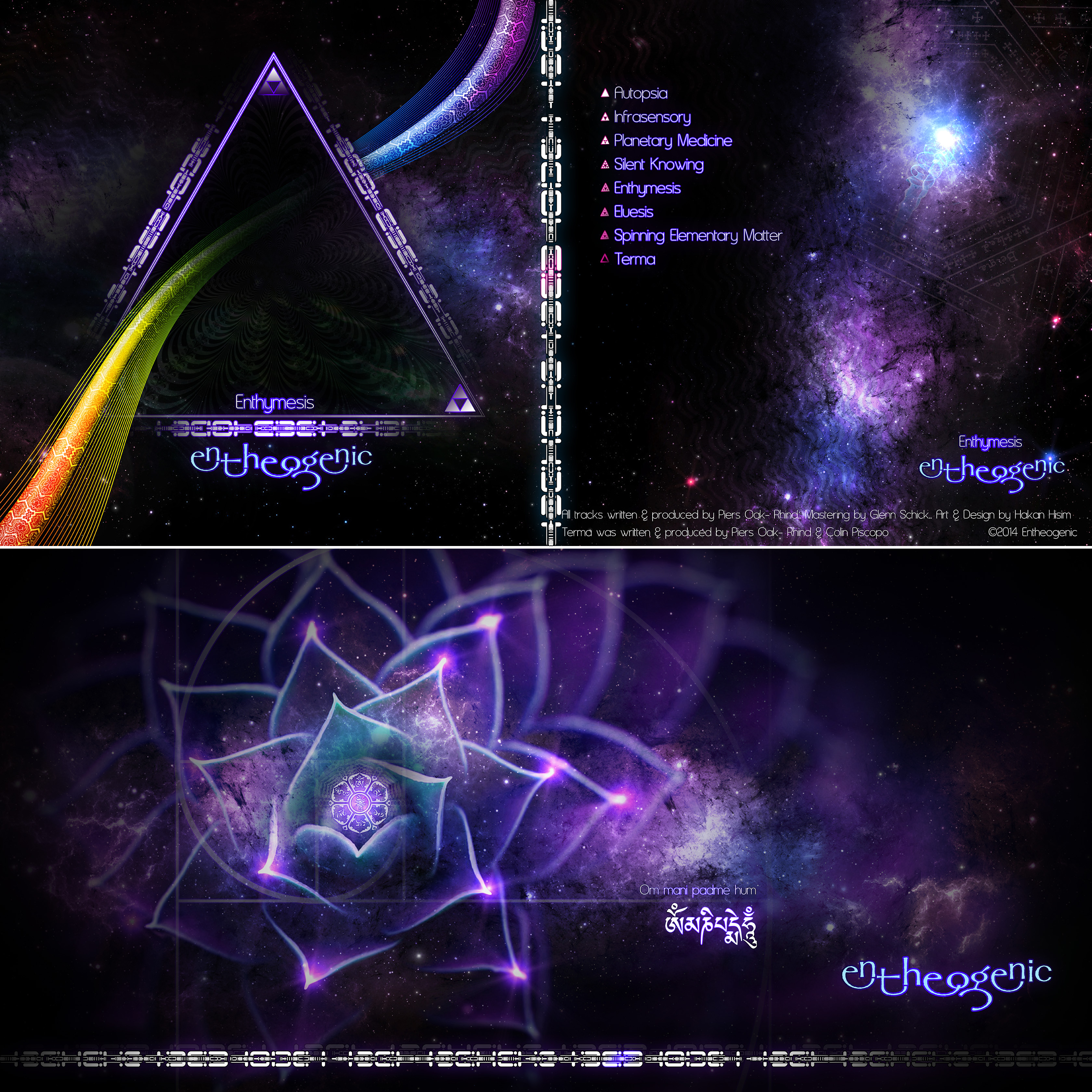 Entheogenic-Enthymesis_(2014)